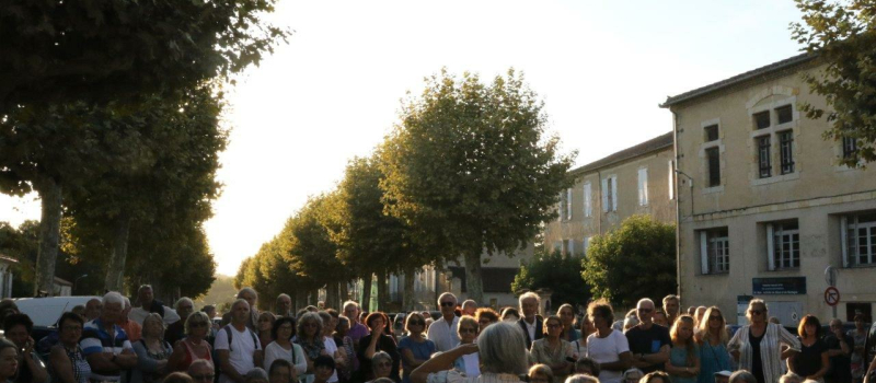 Une soirée pour la défense des platanes