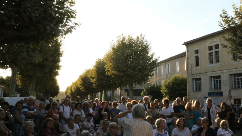 Une soirée pour la défense des platanes