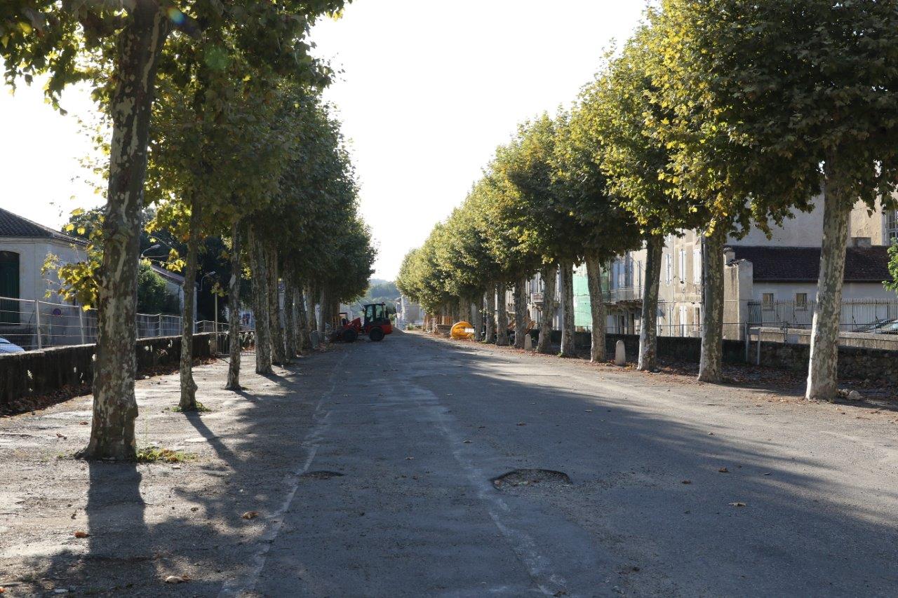 Bel alignement quand même, surtout sans les voitures garées au pied des arbres ! - Photo Marc Le Saux (ed)