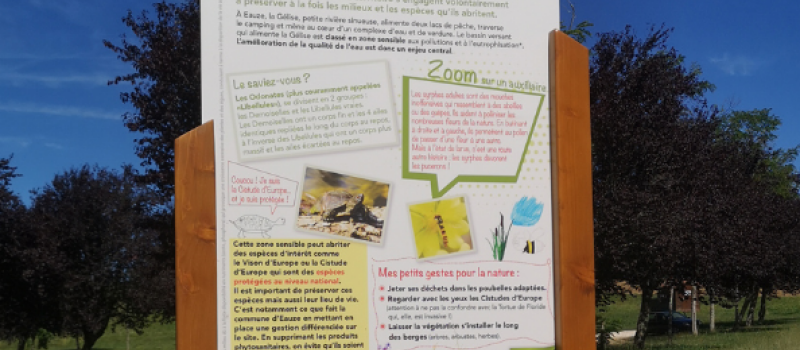Une ville « zéro-phyto »