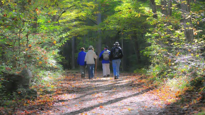 Randonnée et paëlla ADMR dimanche 29 septembre