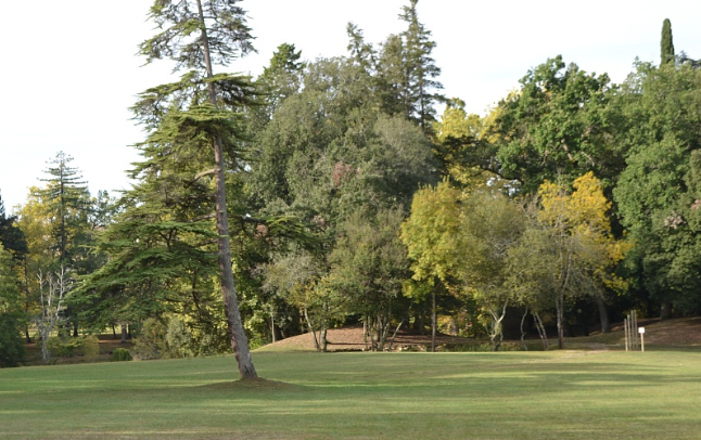 Une vue du parc de Peyloubère