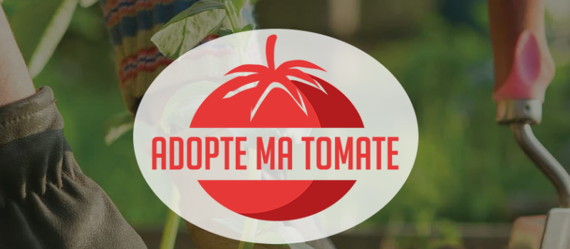Créateurs et passionnés - Adopte ma tomate, startup nature