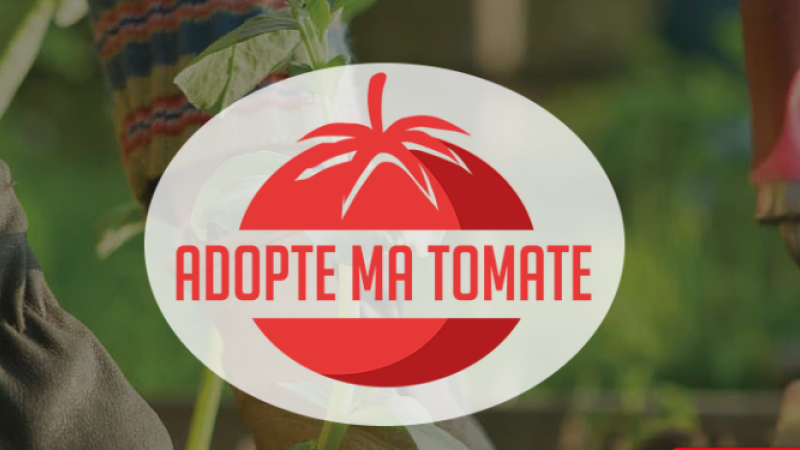 Créateurs et passionnés - Adopte ma tomate, startup nature