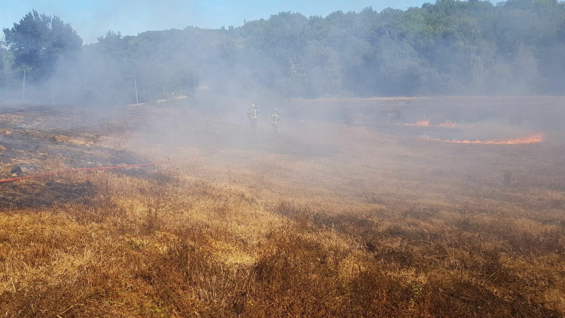 Feu de broussailles