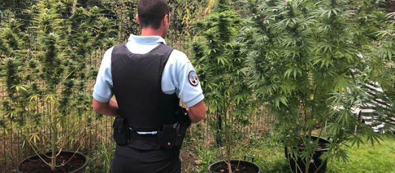 Les gendarmes très actifs