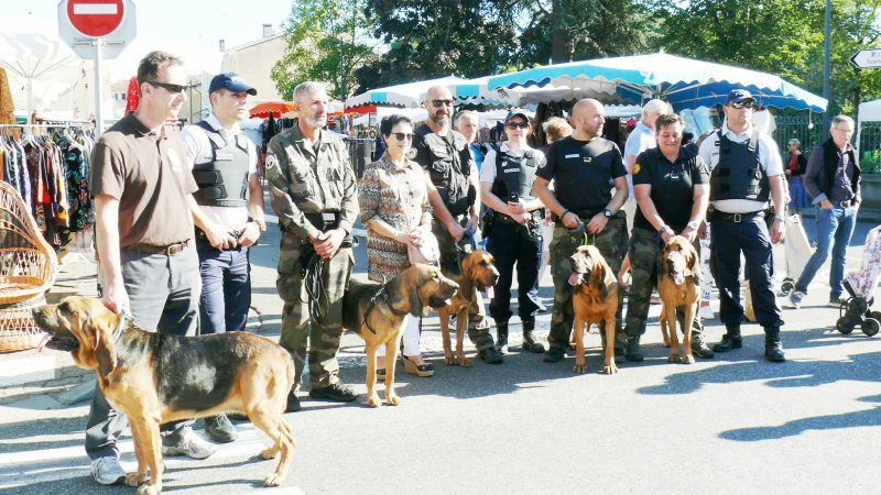  Les Saint-Hubert étaient en stage au marché du jeudi