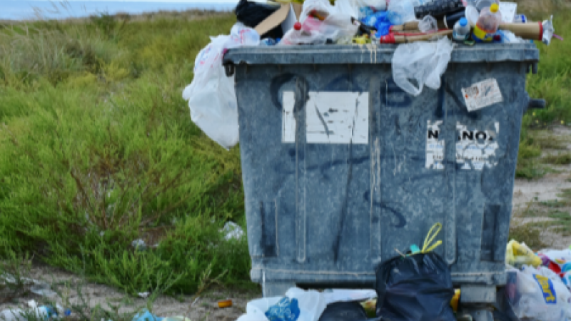 Une opération de ramassage des déchets