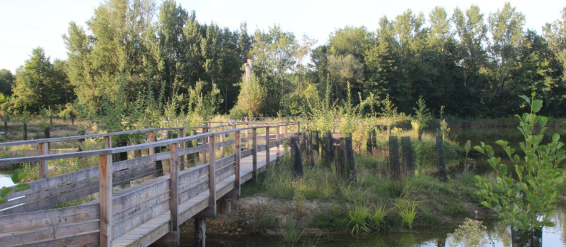 Un lieu de détente et de découverte de la nature