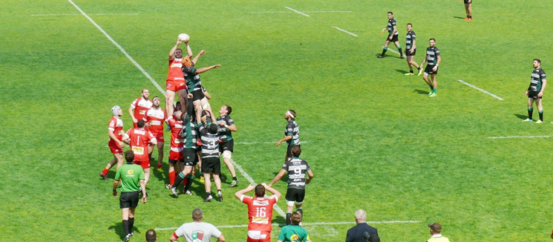 Ovalie - Mondial, Top 14 et Pro D2 au menu