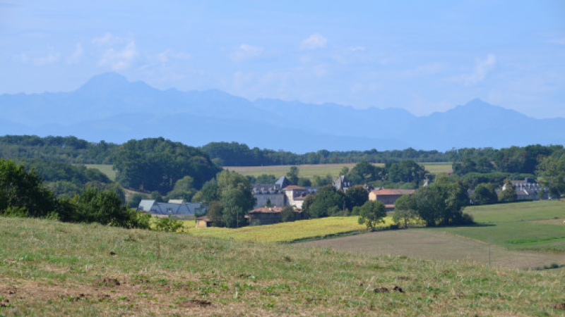 Rando pédestre du haricot tarbais