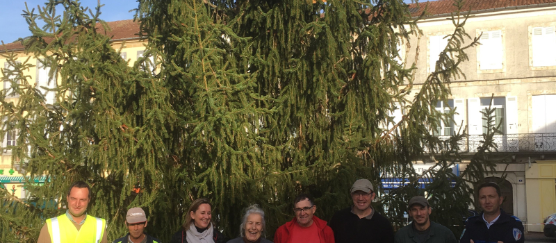 Votre beau sapin !