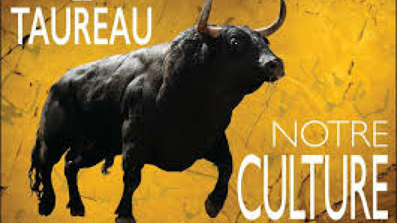 Projet de loi d'interdiction de la corrida aux mineurs