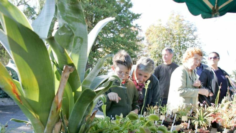 17e foire aux plantes rares