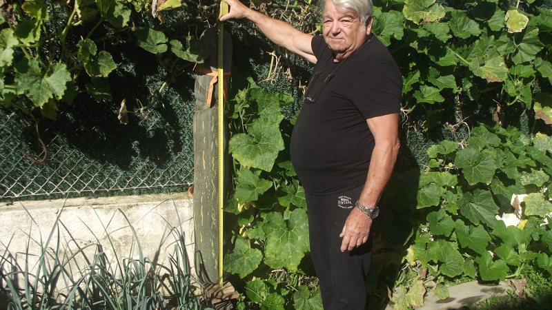 Une courgette phénoménale