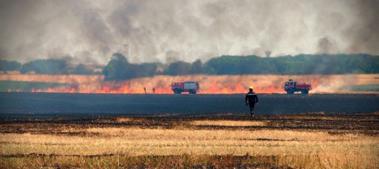 Feu de chaume.JPG