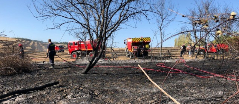 Feu de broussailles et de chaumes