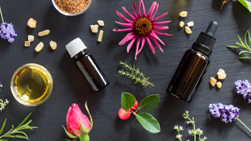  Les huiles essentielles et les plantes sont de nouveau à Saint-Clar