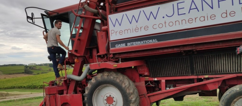En route pour la récolte inédite de coton français !