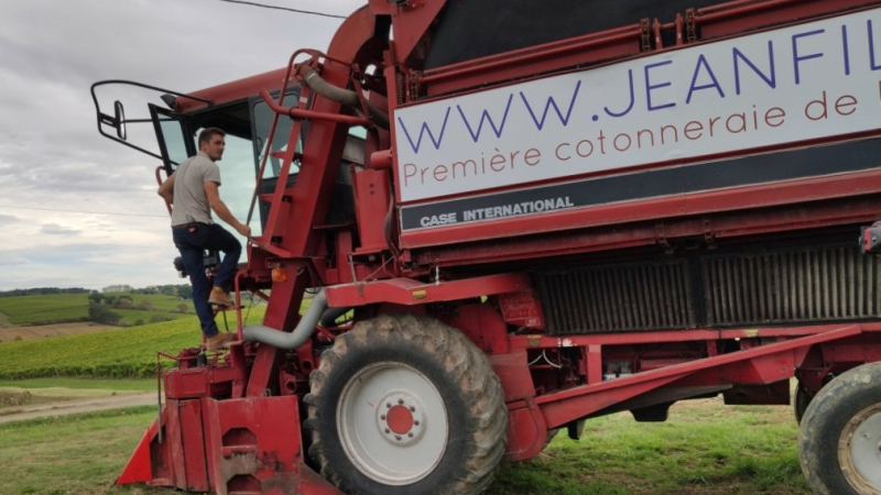 En route pour la récolte inédite de coton français !