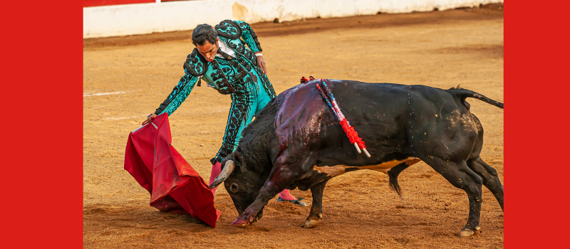 "Aignan y Toros" cherche à augmenter son budget  
