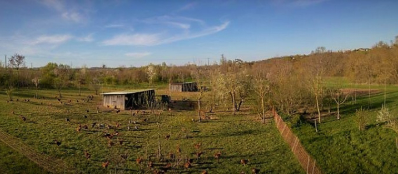 "Auprès de mon arbre", La Ferme en Coton sur France 2