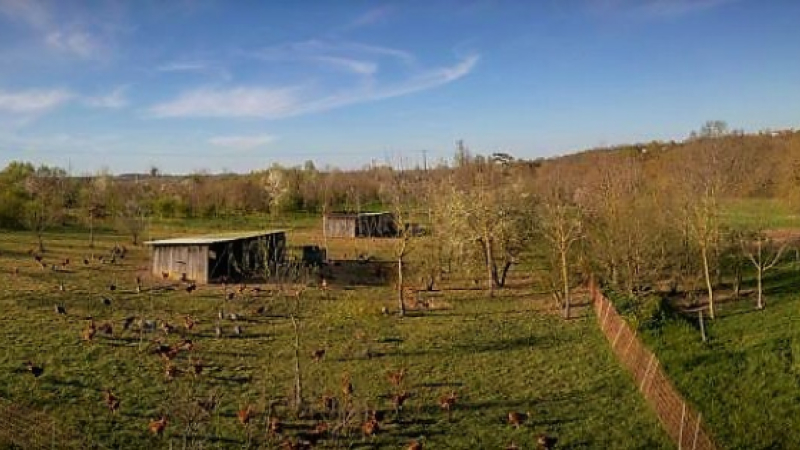 "Auprès de mon arbre", La Ferme en Coton sur France 2