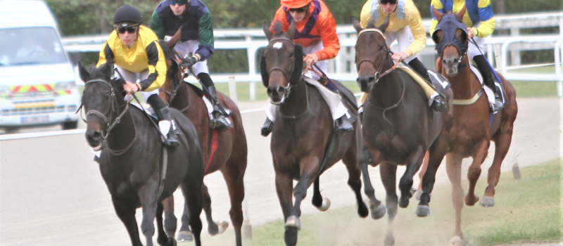 Résultats réunion hippique à La Ribère
