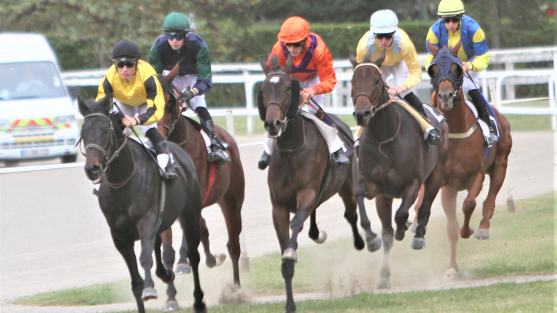 Résultats réunion hippique à La Ribère