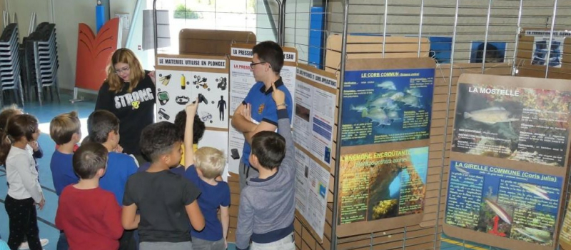 Occit’avenir : les élèves plongeurs du lycée de Mirande à la Fête de la science