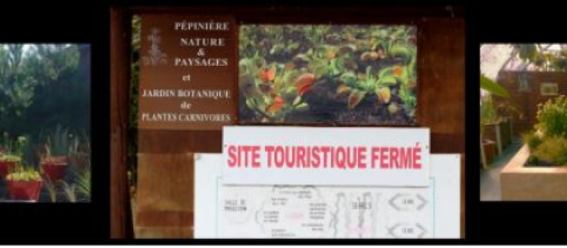Qui a tué le Jardin Carnivore ?