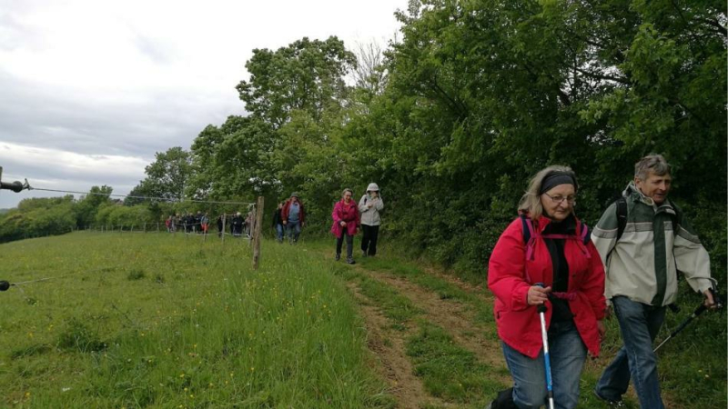 Randonnée pédestre organisée par le Comité des Fêtes
