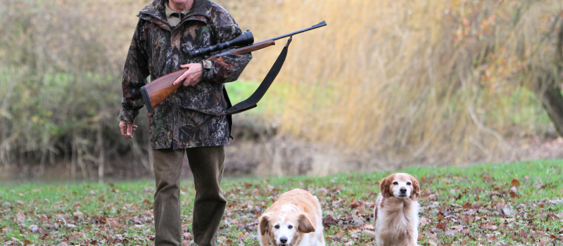 Un dimanche à la chasse : faire découvrir et aimer la chasse