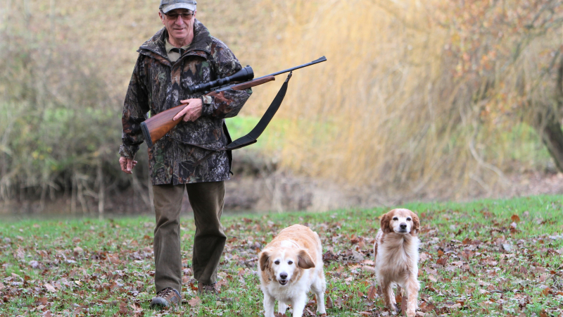 Un dimanche à la chasse : faire découvrir et aimer la chasse