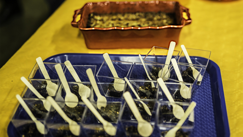 Dernier cours 2019 de cuisine sauvage par Nadia Boyer