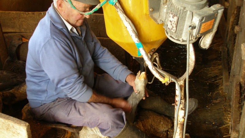 New York interdit le foie gras !