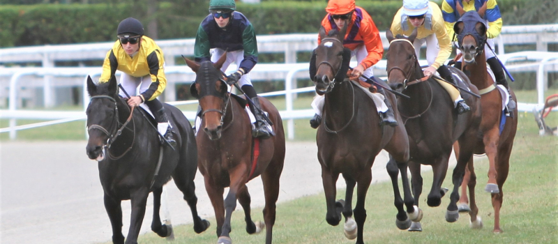 Hippisme : dernier rendez-vous de la saison
