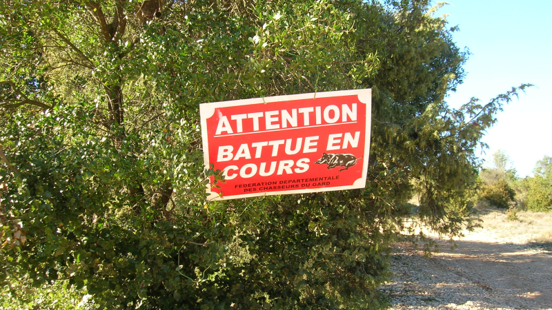 Attention, battue au Bois d’Auch