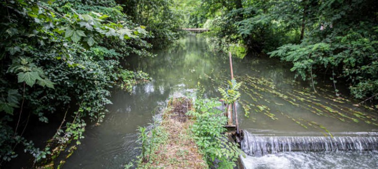 20190801172415mzhZ RH Le contrôle de l’eau 1er aout 2019.jpg