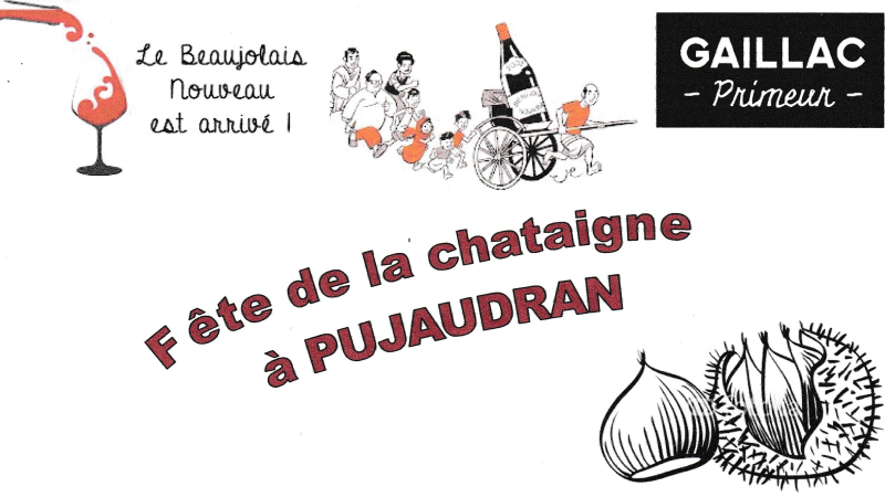 Autour de la châtaigne 