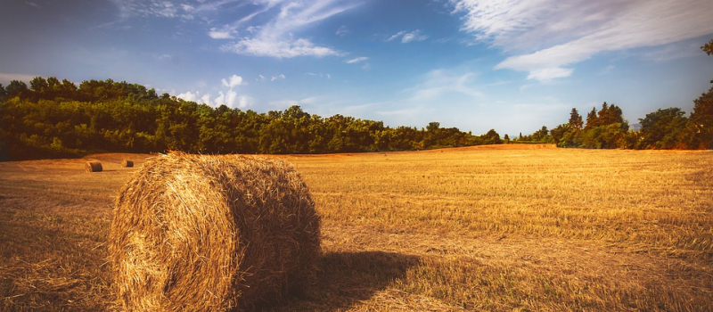 Réunions FDSEA à destination des employeurs agricoles