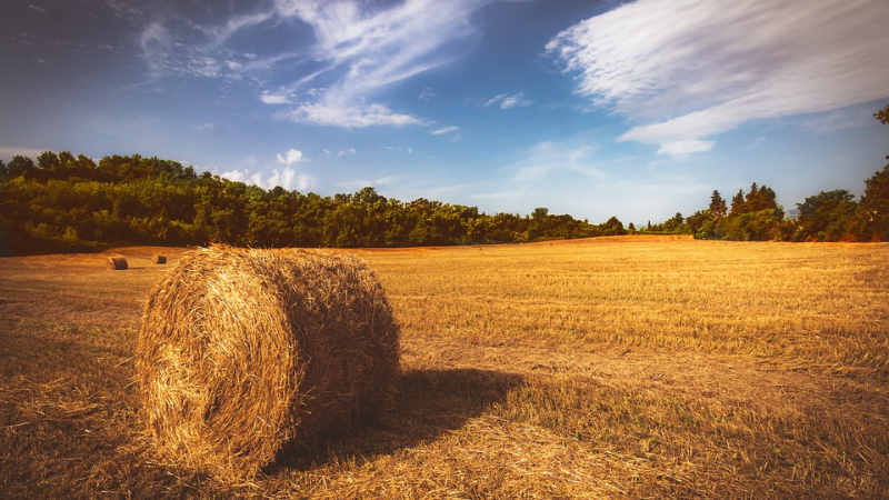 Réunions FDSEA à destination des employeurs agricoles