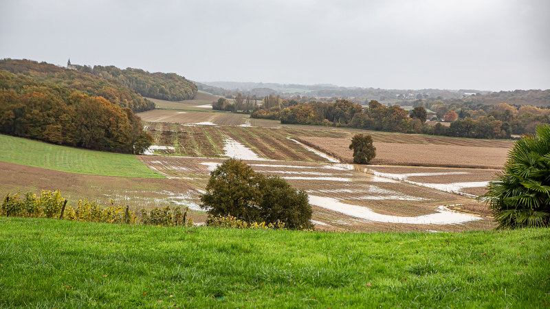 Quelques vues de la campagne inondée  à Bouzon, entre Nogaro et Aignan  