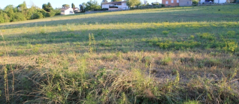 Projet de logements rue d'Angerville, la page n'est pas blanche !