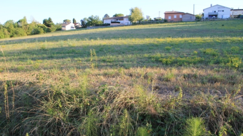 Projet de logements rue d'Angerville, la page n'est pas blanche !