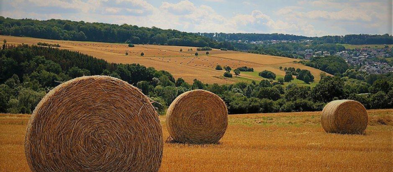 Rendez-vous avec les Bios du Gers-GABB 32