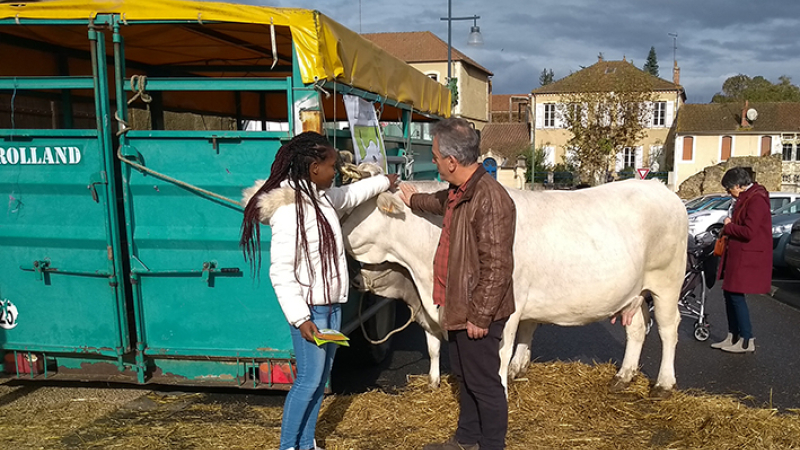 Les agriculteurs gersois acteurs de leurs modes de commercialisation