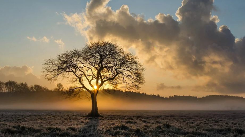 La météo du jour dans notre département