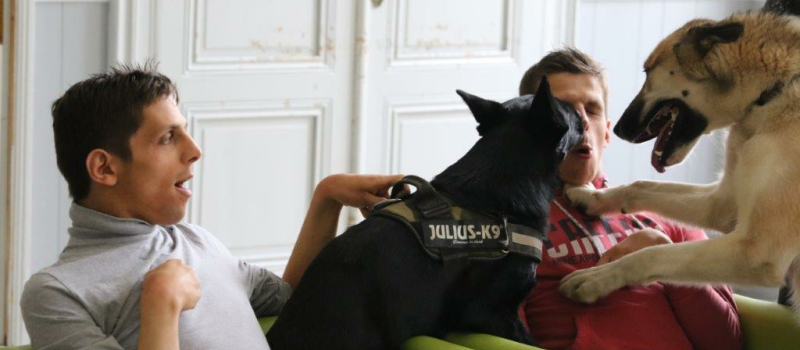 Conjuguer l'amour des animaux et la vie professionnelle