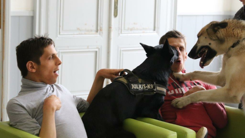 Conjuguer l'amour des animaux et la vie professionnelle